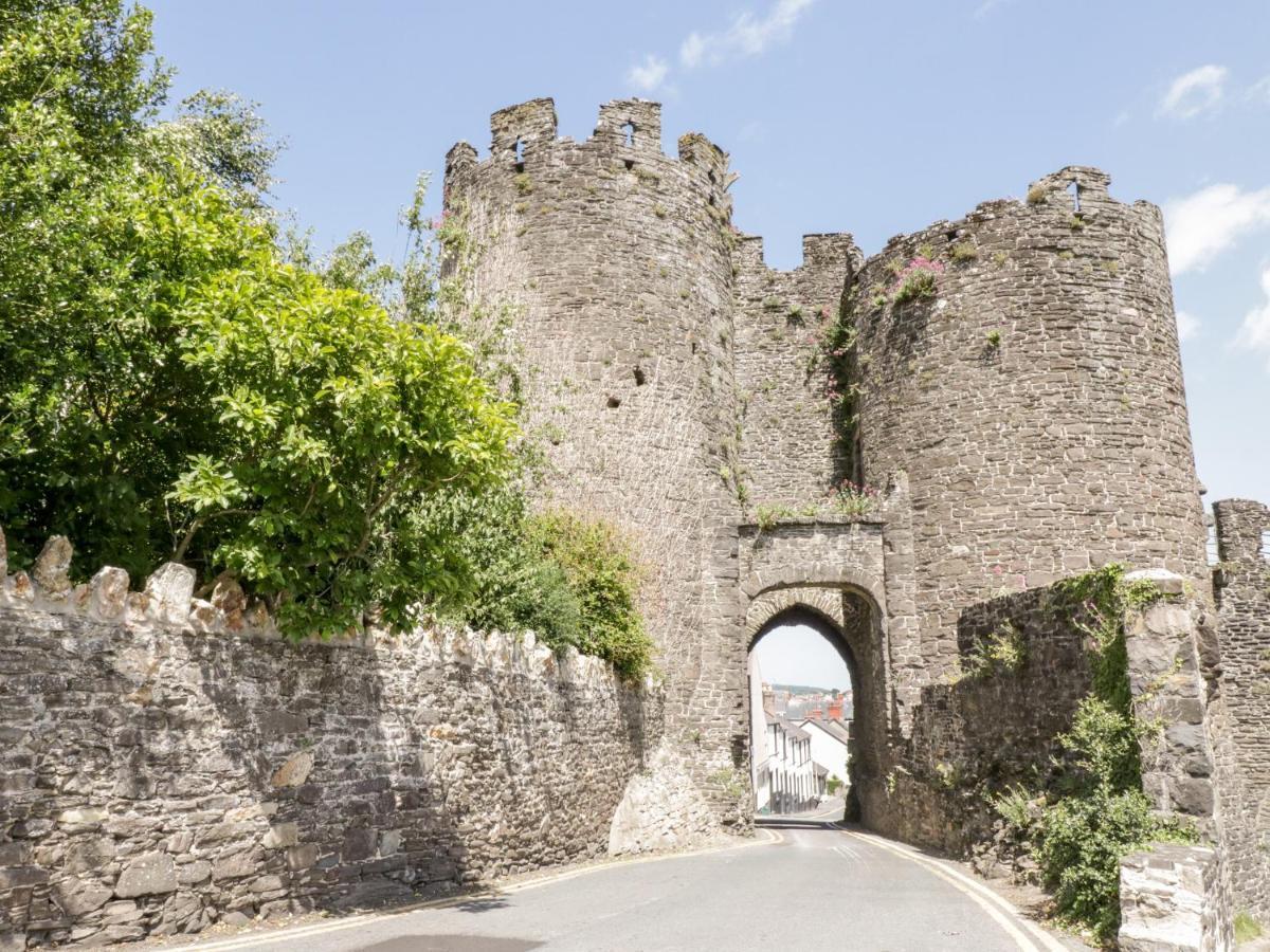 Oakwood Stables Vila Conwy Exterior foto